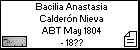 Bacilia Anastasia Calderón Nieva