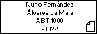 Nuno Fernández Álvares da Maia