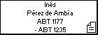 Inés Pérez de Ambía