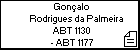 Gonçalo Rodrigues da Palmeira