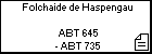 Folchaide de Haspengau