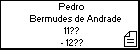 Pedro Bermudes de Andrade