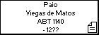 Paio Viegas de Matos