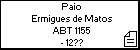 Paio Ermigues de Matos