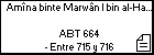 Amîna binte Marwân I bin al-Hakam