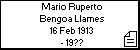 Mario Ruperto Bengoa Llames