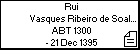 Rui Vasques Ribeiro de Soalhães