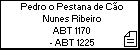 Pedro o Pestana de Cão Nunes Ribeiro