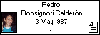 Pedro Bonsignori Calderón