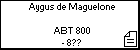 Aygus de Maguelone 