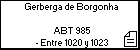 Gerberga de Borgonha 