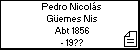 Pedro Nicolás Güemes Nis
