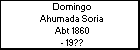 Domingo Ahumada Soria