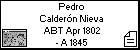 Pedro Calderón Nieva