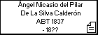 Ángel Nicasio del Pilar De La Silva Calderón