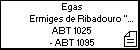 Egas Ermiges de Ribadouro 