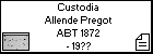 Custodia Allende Pregot