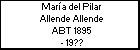 María del Pilar Allende Allende